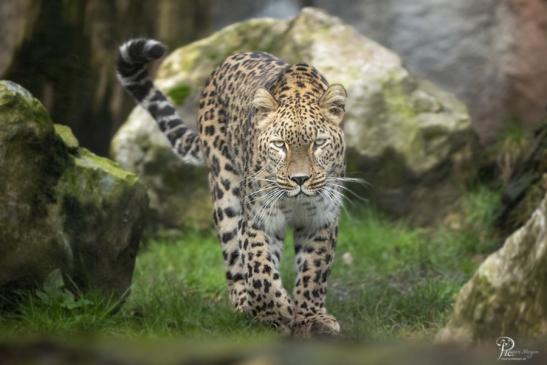 Allwetterzoo Münster