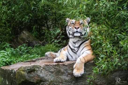 Allwetterzoo Münster