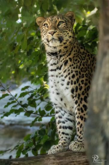 Allwetterzoo Münster