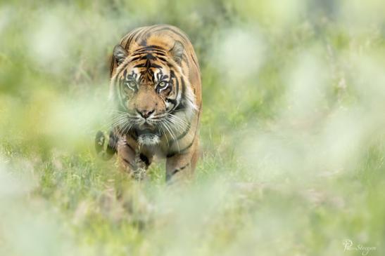 Naturzoo Rheine