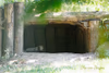Jungtier in der Höhle - Tag 18