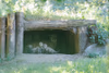 Alwa mit Jungtieren in der Höhle - 3 Wochen alt